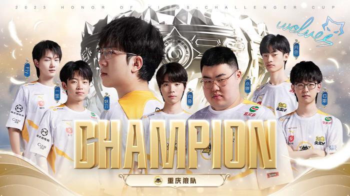 他的成功提