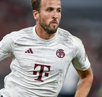 的策略同样 的策略同样