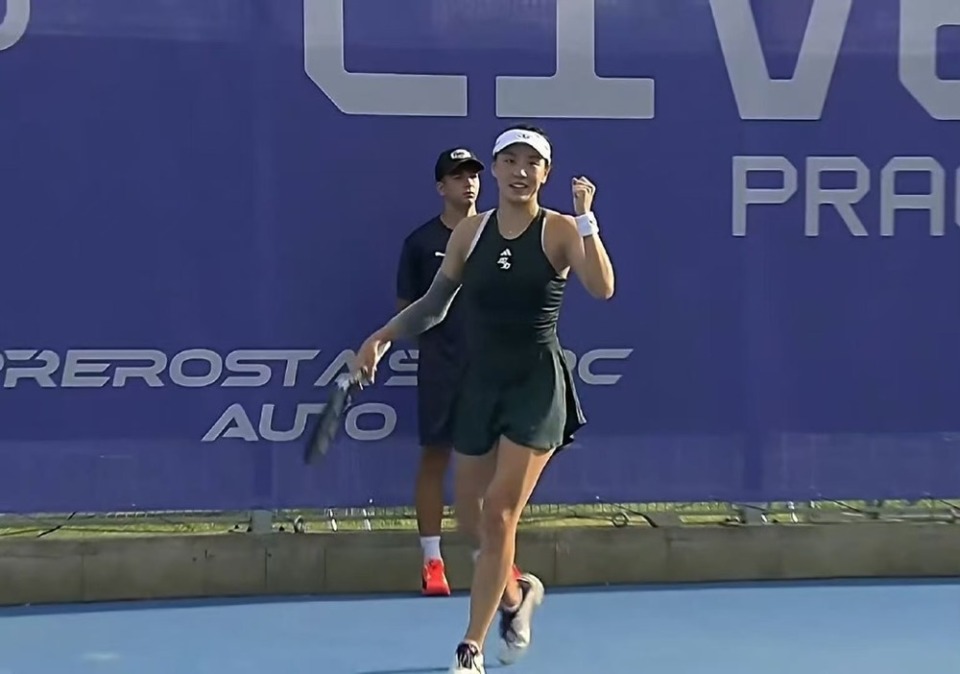 看到了更大 看到了更大