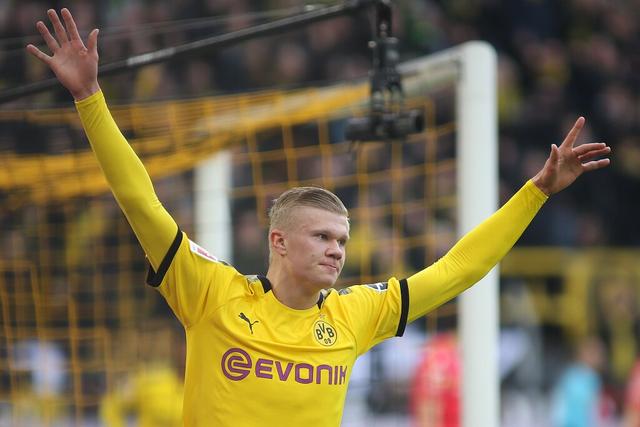 海选阶段输 海选阶段输